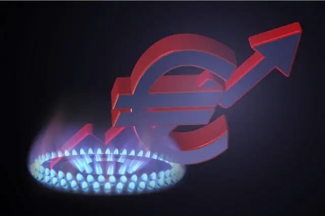 Les fournisseurs d'énergies Les fournisseurs d'énergie: gaz