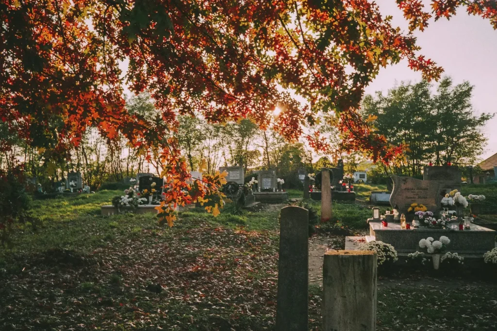 Le business de la mort