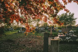 Consommation Le business de la mort
