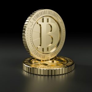 Accueil Les cryptomonnaies
