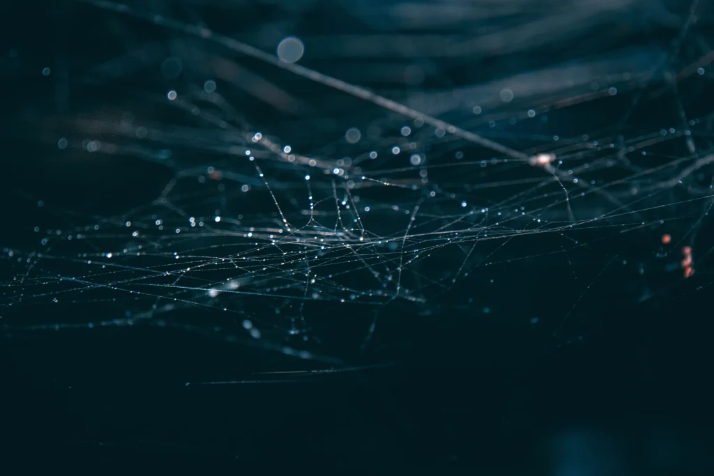 Dark Web